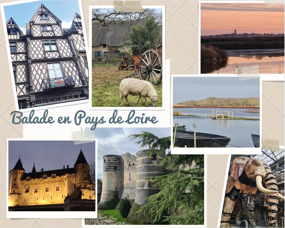 5 spots pour visiter les pays de la Loire
