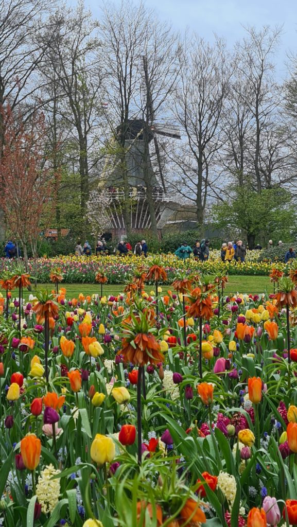 Parc floral Keukenhof